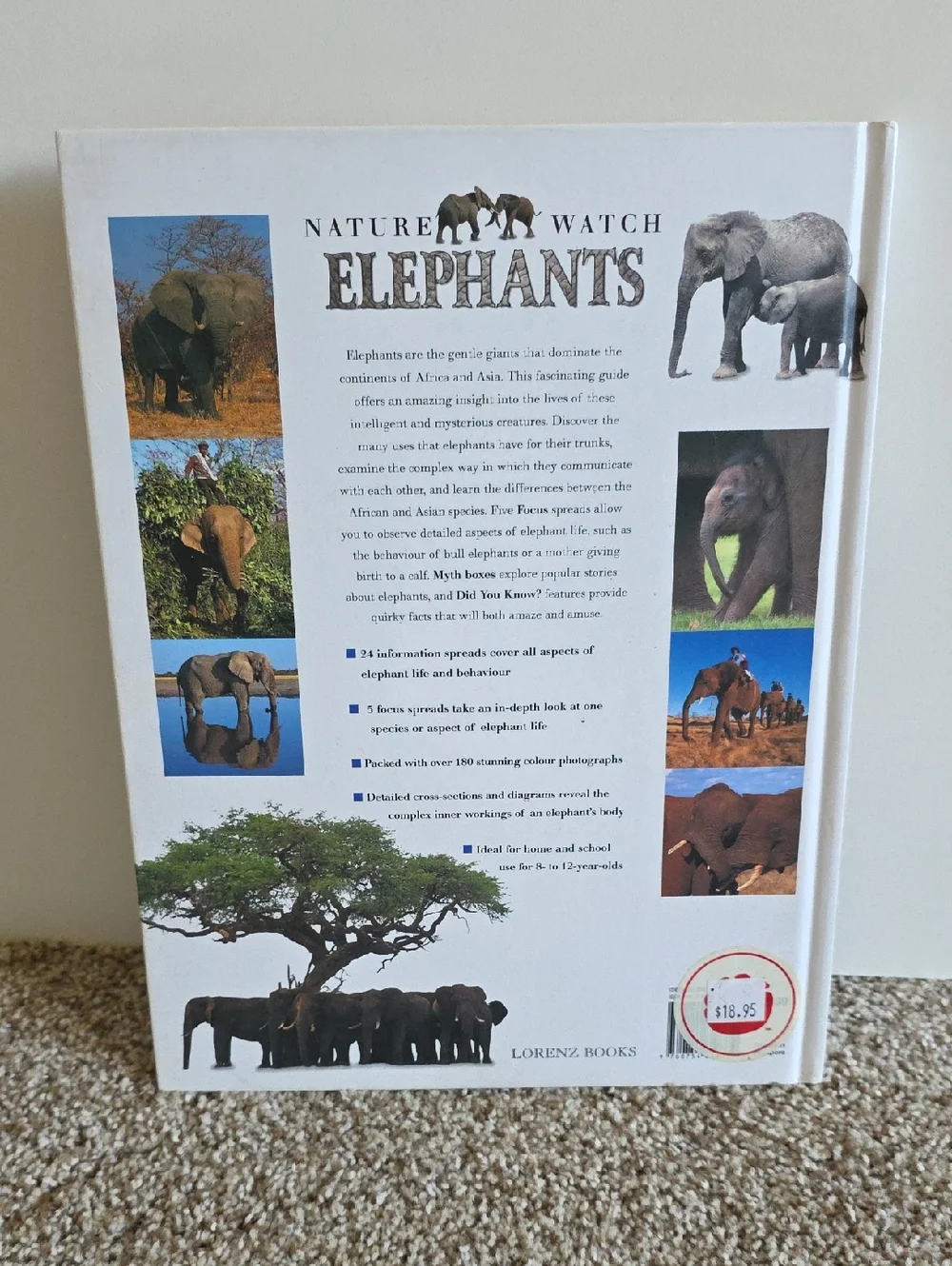 Children's Animal Book Set Dangerous Animals, Elephants, Bears, Giraffes, Rhinos